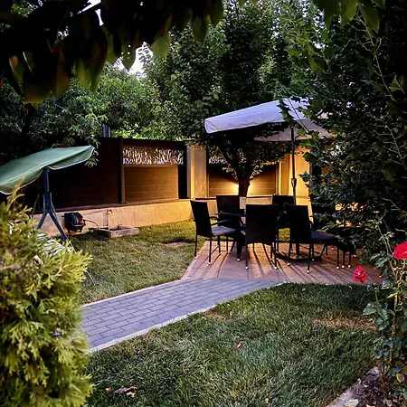 Dan Si Silvia كوستِنيست