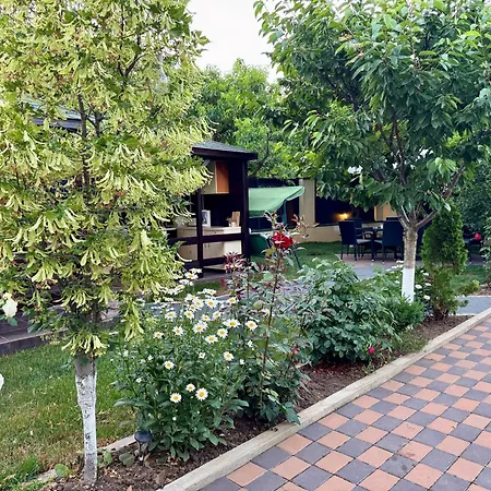 Dan Si Silvia كوستِنيست