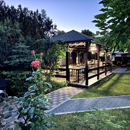 Dan Si Silvia كوستِنيست